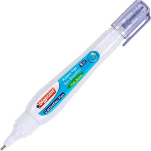 Bigpoint Kalem Tipi Sıvı Düzeltici 8ml